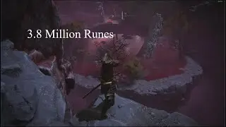 Elden Ring- PC Mohgwyn Bird Rune Farm Macro