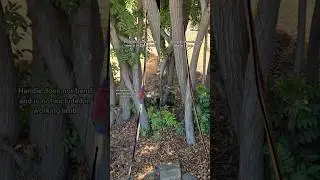 Shortbow and longbow power comparison