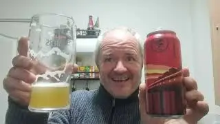 Wylde Sky Brewery -  Continental IPA  - Beer Review 