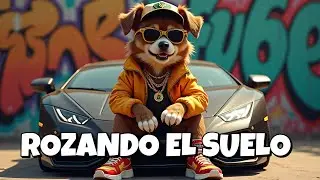 🔥 Los Huevos Me Rozan el Suelo | Reggaetón Que No Podrás Dejar de Bailar 😏🎶