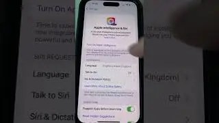 IPhone 17 turn on Apple intelligence