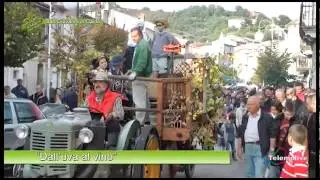 San Giovanni in Galdo - Dall'uva al vino - 01 - 1675 - Telemolise - Viaggio in Molise