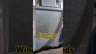 Window Blinds Shop in Greater Noida, Blinds for Window Near Me, Window Blinds Shop in Noida