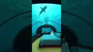 20,000$/night underwater villa in Conrad Maldives. Would you stay here?