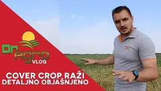 Kako započeti gajenje useva u cover crop sistemu