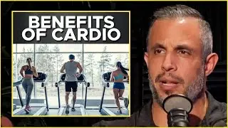 How To Use CARDIO In Your Workout Routine