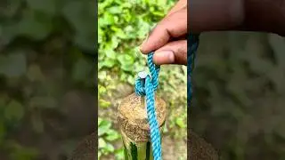 Perfect idea! 🙏💯✅#short #shorts #knotting #knotying #satisfying #diy #shortsfeed