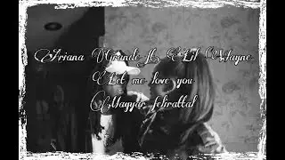 Ariana Grande ft. Lil Wayne - Let me Love you Magyar felirattal