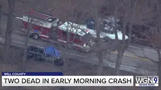 2 dead after head-on collision in Will County