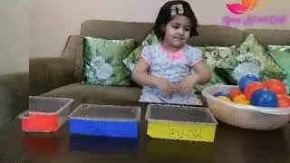 Primary colours sorting activity for kids l colour sorting activities for toddler l colours sorting
