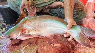So Satisfying!! 😯😱 || Pangas Fish Skin Removing & Cutting by Expert Cutter