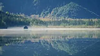 Multicolored  - Instrumental