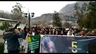 Led by Registrar of the UAJK Prof. Dr. Ayesha Sohail, a solidarity walk  Kashmir Solidarity Day
