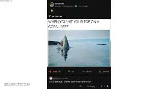 Funny r/woooosh moments v921