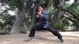 Shaolin Master Shi Yanyi