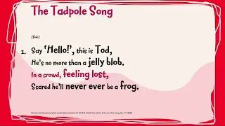 The Tadpole Song | Songs For EVERY Spring Assembly | Out Of The Ark Music