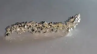 8 64 grams Crystalline silver