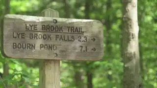 Lye Brook Falls Trail - Summer 2017 Visitors Guide to Southern VT
