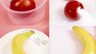 New Fresh Reusable Tray Food Storage Container How To Use Food Preservation Tray