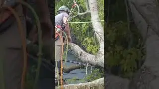 L3 INVESTMENT disaster storms relief team (3)