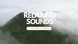 Soothing Mountain Sounds for Relaxation: A Journey Through the Peaceful Alpine Landscape