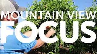 FOCUS On Location