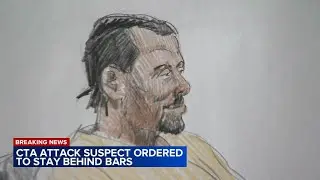 CTA Blue Line attack suspect to remain in custody, judge rules
