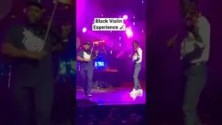 Black Violin Experience 🎻 #viral #liveconcert #hiphop #classical #fyp