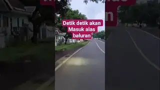 detik detik akan memasuki alas baluran situbondo