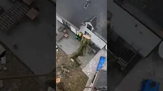 D&Eacute;MONTAGE D'UN CH&Ecirc;NE AU DESSUS D'UNE MAISON