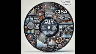 CISA Chapter 1 Business Process  Image Processing