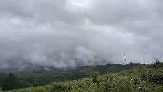 ഊട്ടിയിൽ പോകുന്ന വഴി ഈ സ്പോട് മിസ്സാക്കരുത് | Nilgiri Hills View Point #beautifulnature