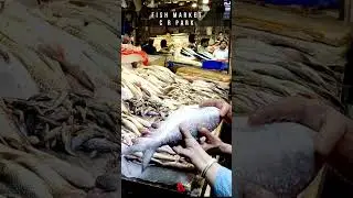 C R Park Fish Market