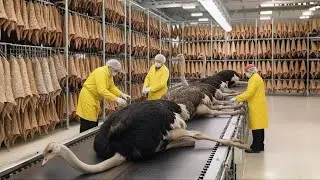 Inside the Ostrich Leather Tannery &ndash; How Ultra-Rare Hides Become $40,000 Luxury Bags (Full Process)
