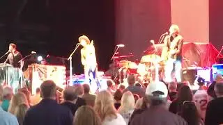 Wallflowers - 