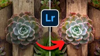 7 Lightroom Tricks YOU probably didn't know!
