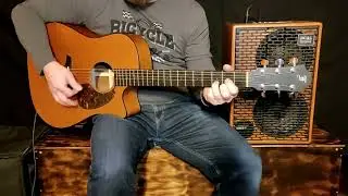 Furch D20 CM - Acus One Forstrings  - acoustic guitar amplifier - Obszar Dźwięku