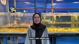 MRS600 - MINI PROJECT RECIRCULATING AQUACULTURE SYSTEM AQUARIUM 1 GROUP 1 (RAS2564A)