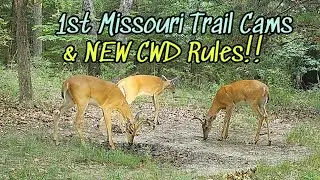 Missouri NEW CWD rules & Missouri trail cams-Did we buy a deer desert?