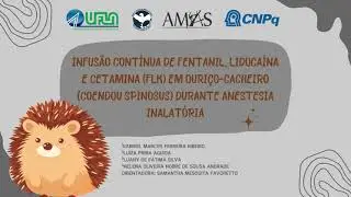 Infus&atilde;o cont&iacute;nua de FLK em ouri&ccedil;o-cacheiro (Coendou spinosus) durante anestesia inalat&oacute;ria