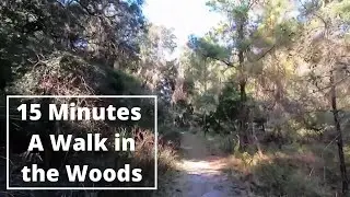 15 Minute Beginner Cardio: Virtual Scenery for Treadmill 