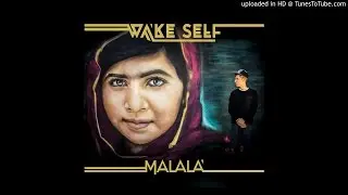 Wake Self - Questions (feat. Miles Bonny & DJ Young Native)