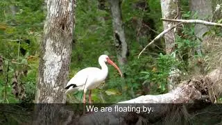 Gore's Landing 6 Nov 2017