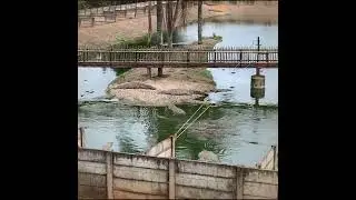 Agatha Crocodile Ranch