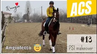 Rungie angioletto! Purosangue inglese in addestramento 🏇🏼