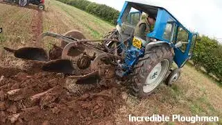 1964 Fordson Super Major 3.6 Litre 4-Cyl Diesel Tractor (54HP) Ransomes Ledbury Ploughing Match 2025
