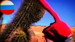 ЭТО КАКТУС НА РУССКОМ 31 MINUTOS A VER CACTUS RUS