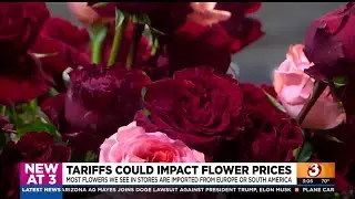 Arizona flower shops say tariffs could significantly impact costs