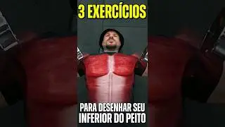 Desenhe o INFERIOR DO PEITO com esses 3 EXERC&Iacute;CIOS #dica #hipertrofia #laerciorefundini #musculacao