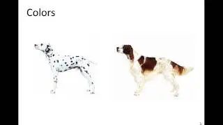 Pattern analysis 2/3 by Dr. Harald Kittler